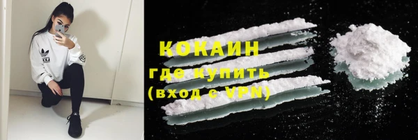 гидра Богородск