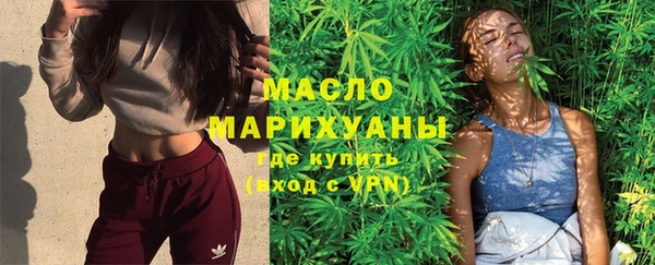 гидра Богородск