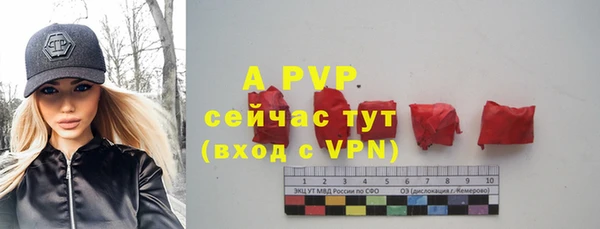 гидра Богородск