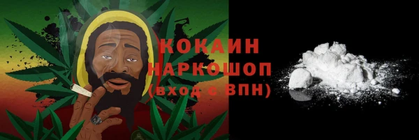 гидра Богородск