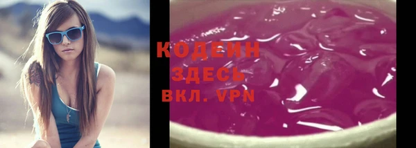 гидра Богородск