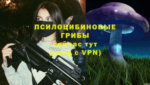 гидра Богородск