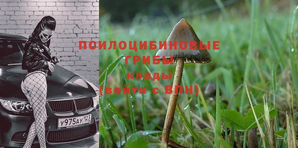 COCAINE Богданович