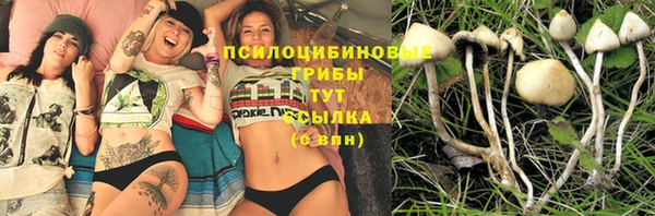 мефедрон Богородицк
