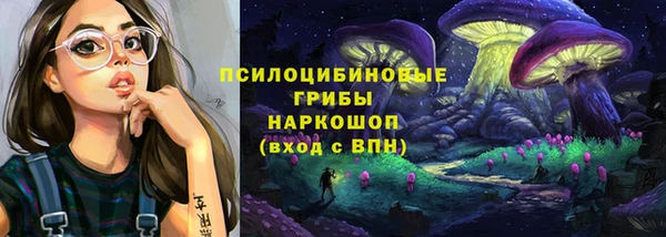 гидра Богородск
