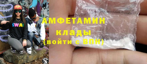 гидра Богородск