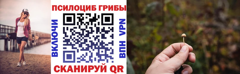 Купить где  Невьянск  Галлюциногенные грибы Psilocybine cubensis 